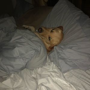 Meet your Posher, Matt